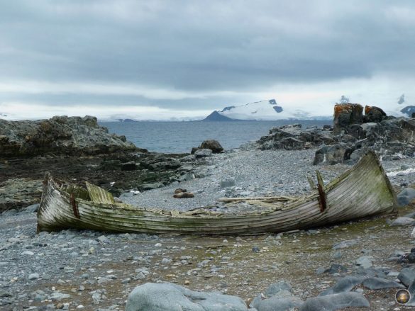 Bootswrack am Strand von Halfmoon Island - Süd-Shetland-Inseln Antarktis-Expedition mit der Sea Spirit