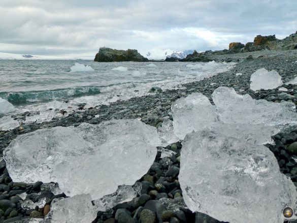 Eisschollen auf Halfmoon Island - Südliche Shetland Inseln - Antarktis Reise mit der Sea Spirit