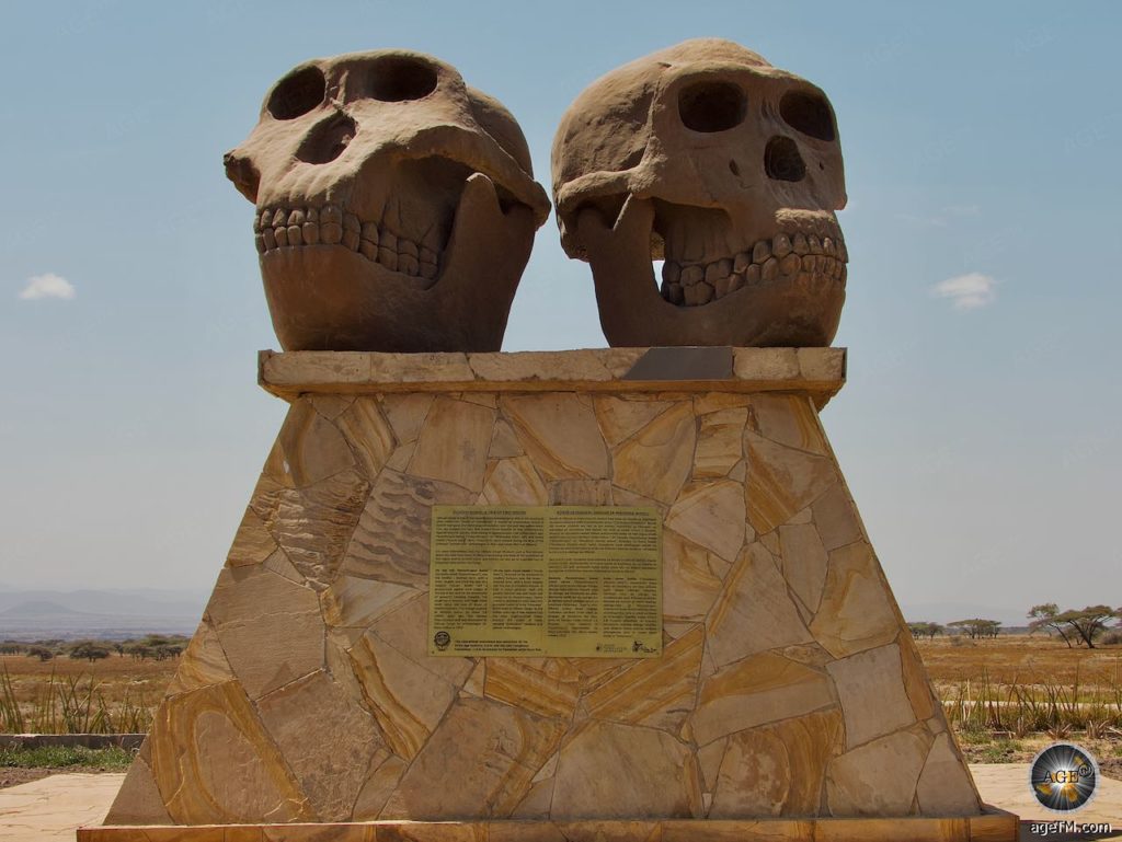 Zinjanthropus Schädel Australopithecus Boisei Ur-Menschen Denkmal Olduvai-Schlucht Wiege der Menschheit Serengeti Tansania Afrika