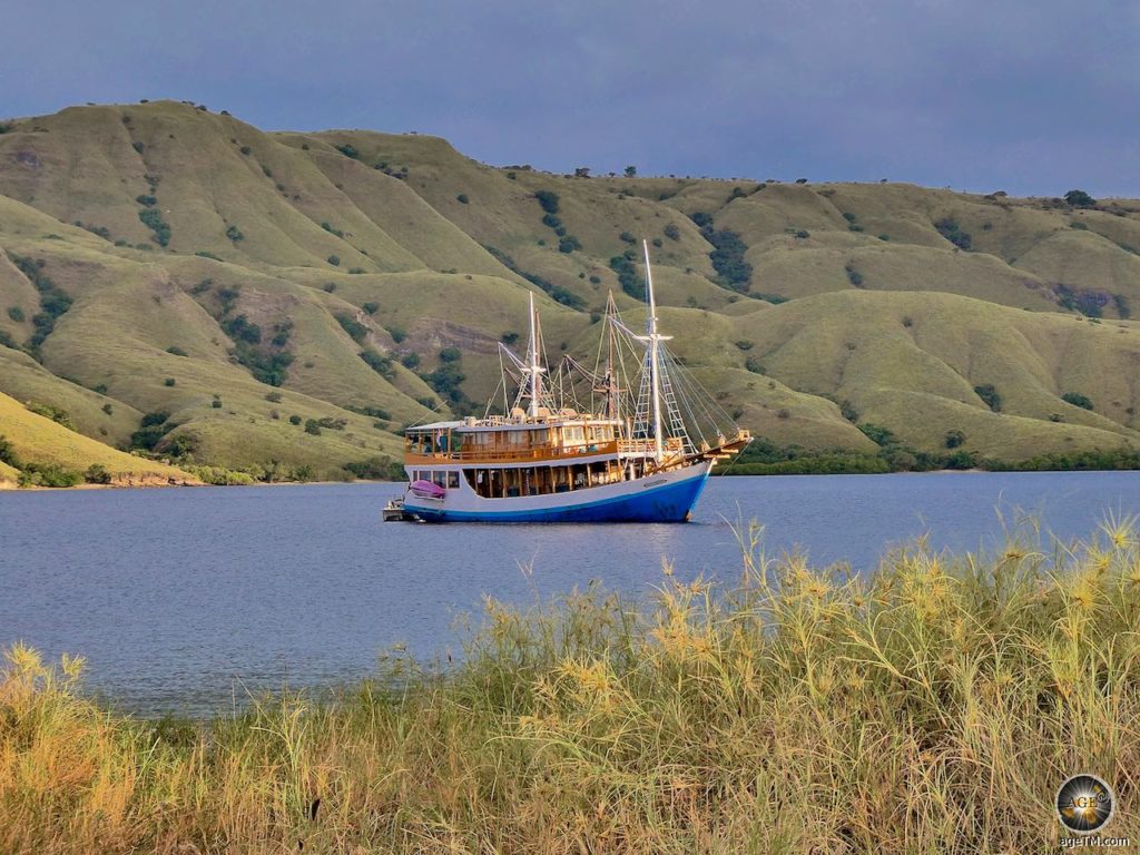 Excursions and Tours in Komodo National Park - Visit Komodo - Things to do in Komodo