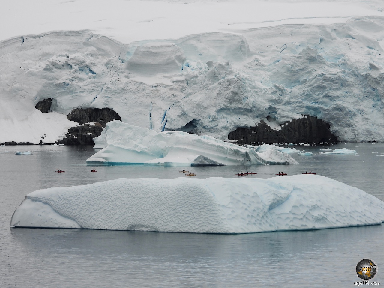 Skupina kajakašev vesla med dvema ogromnima ledenima gorama in ob zasneženi obali Portal Pointa na Antarktičnem polotoku