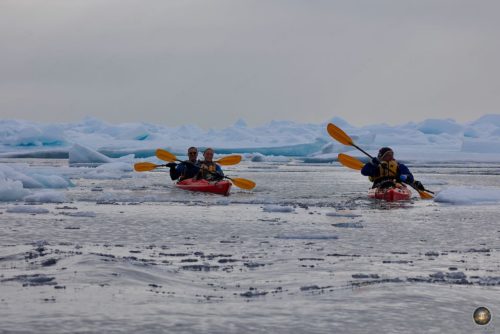 Kat moun navige yon kayak ant dra glas lanmè toupre fwontyè glas pake nan Svalbard.
