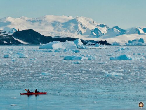 Црвени кајак плута уз обалу Антарктичког полуострва у Циерва Цове-у наспрам лебдећег леда, санти леда и снежне обале